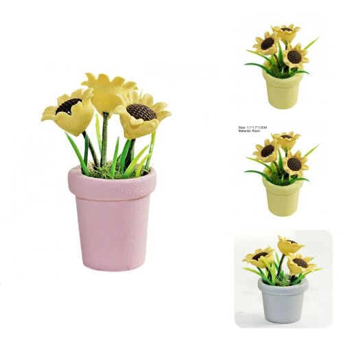 Mini Tournesol Créatif, Jolie Maison De Poupée De Culture, Mini Tournesol