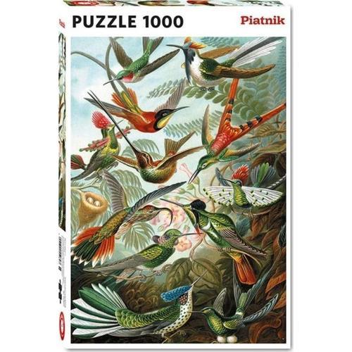 Puzzles Haeckel - Colibris