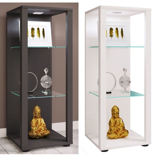 Vcm Bois Verre Vitrine De Collection Vitrine De Verre Vitrine De Stand Vitrine Glasol M Bois Verre Vitrine De Collection Vitrine De Verre Vitrine De Stand Vitrine Glasol M