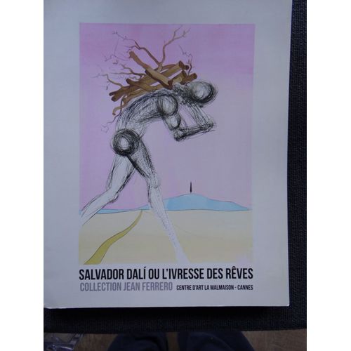 Salvador Dali Ou L'ivresse Des Reves - Collection Jean Ferrero