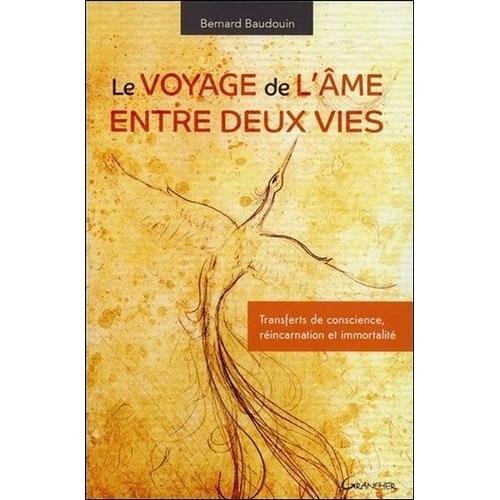 Le Voyage De L'âme Entre Deux Vies - Transferts De Conscience, Réincarnation Et Immortalité