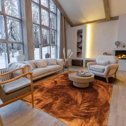 SAUVAGE - Tapis à poils longs extra-doux marron 160x230