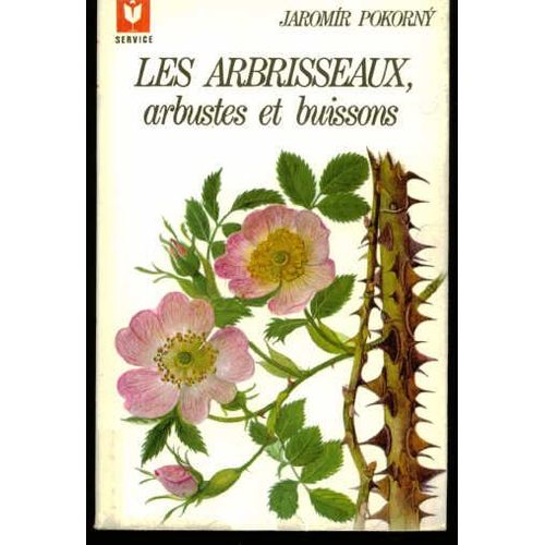 Les Arbrisseaux Arbustes Et Buissons