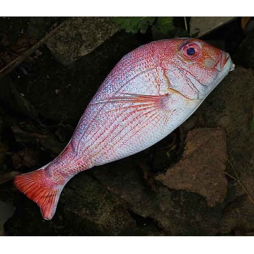 Étui À Crayons De Dessin De Poisson De Simulation Mignon,Boîte À Crayons À Glissière Kawaii,Sac De Rangement Portable De Grande Capacité,Porte-Stylo,Sacs De Papeterie #B