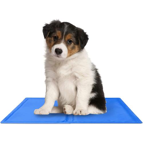 Coussin De Refroidissement Pour Chiens - Tapis De Glace Pliable Bleu Pour Chiot # Pas Besoin De Geler Le Tapis De Chien Pour Chiens, Chiots, Toutous, Chats, Lapins, Pelouses De Voyage