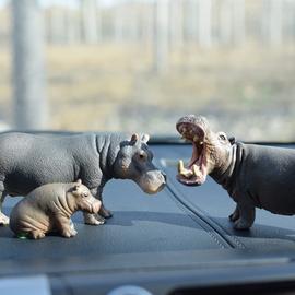 Clic'educ Animaux à Prix Carrefour