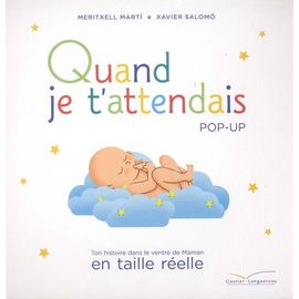 Quand Je T'attendais - Pop-Up - Ton Histoire Dans Le Ventre De Maman En Taille Réelle