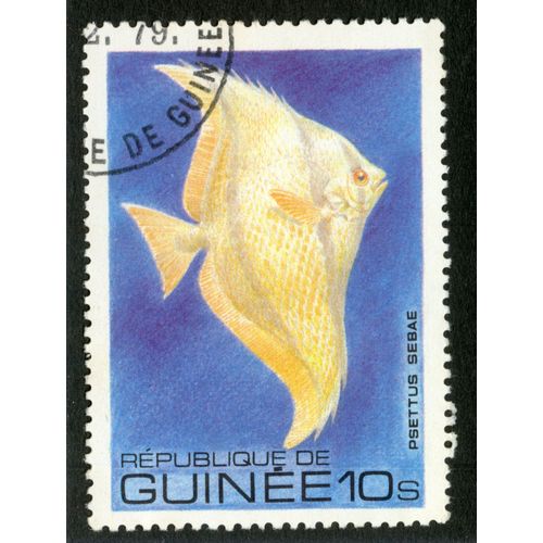 Timbre Oblitéré République De Guinée, 10s, Psettus Sebae,