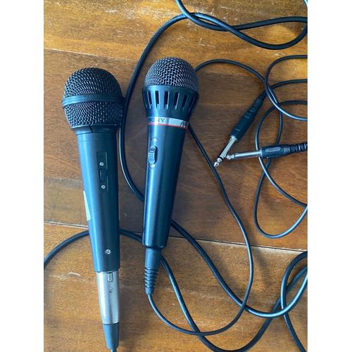 Lot de deux microphones 