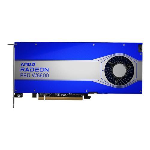 AMD Radeon Pro W6600 - Carte graphique - Radeon Pro W660 - 8 Go GDDR6 - 4 x DisplayPort - pour Workstation Z2 G8, Z4 G5, Z6 G5, Z8 G5