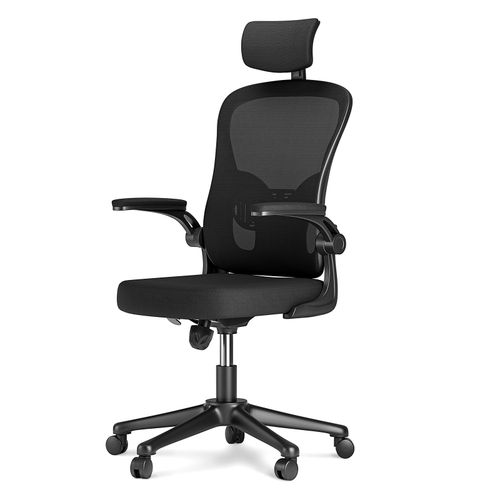 Chaise De Bureau - Naspaluro - Ergonomique Siège - Fauteuil Avec 2d Accoudoirs, Hauteur Appui-Tête Soutien Lombaire Dossier Règalable