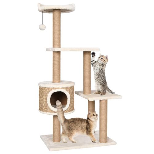 Vidaxl Arbre À Chat Avec Griffoirs 123 Cm Herbiers Marins