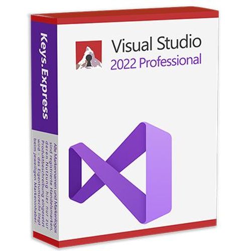 Visual Studio 2022 Professional