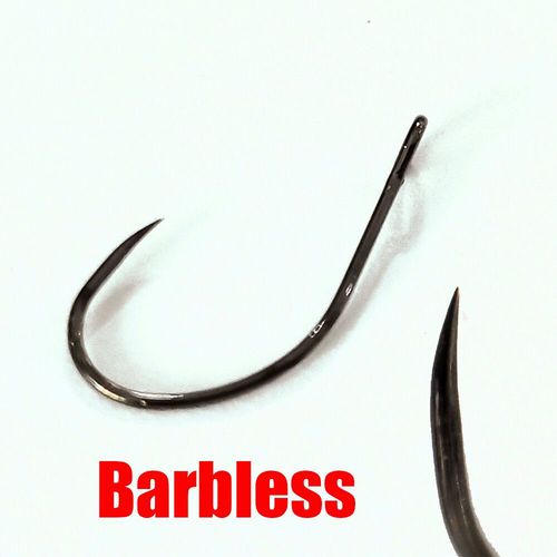 Hameçon De Pêche Barbelé En Acier À Haute Teneur En Carbone,Matériel Pour Bar,Perche,Sandre,Crappie,Cuillère,100 Pièces - Type Barbless #B