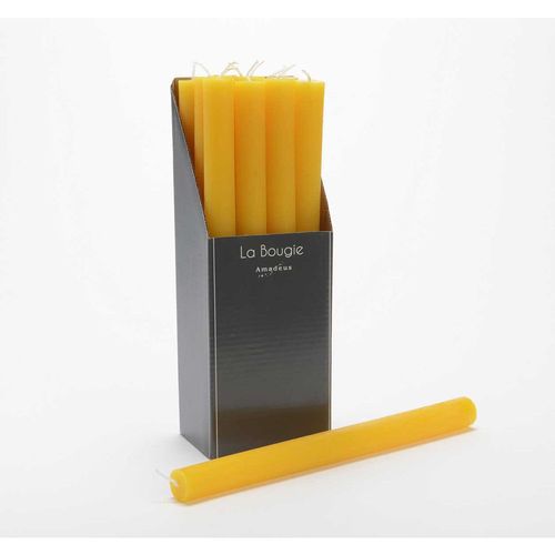 Bougie flambeau 25 cm flambeau (lot de 12)