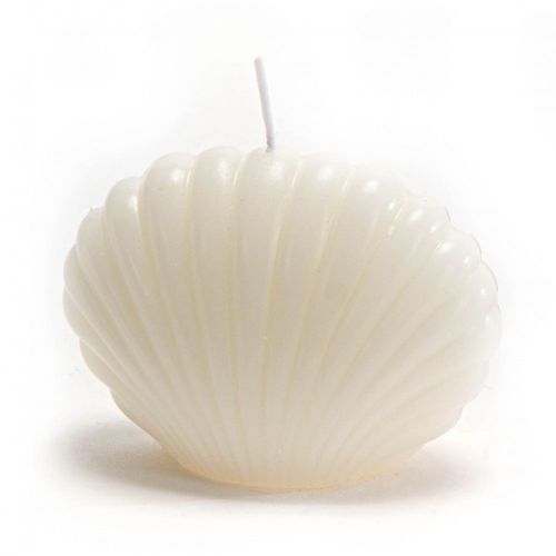 Bougie coquillage crème (lot de 8)