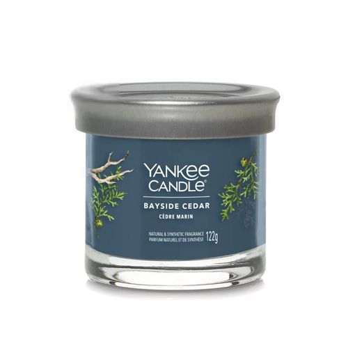 Bougie signature cèdre marin petit modèle
