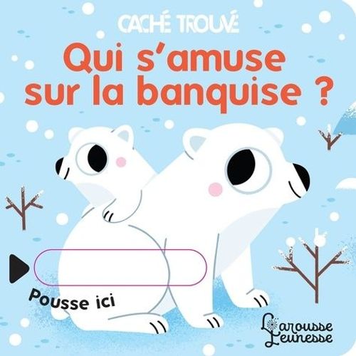 Qui S'amuse Sur La Banquise ?