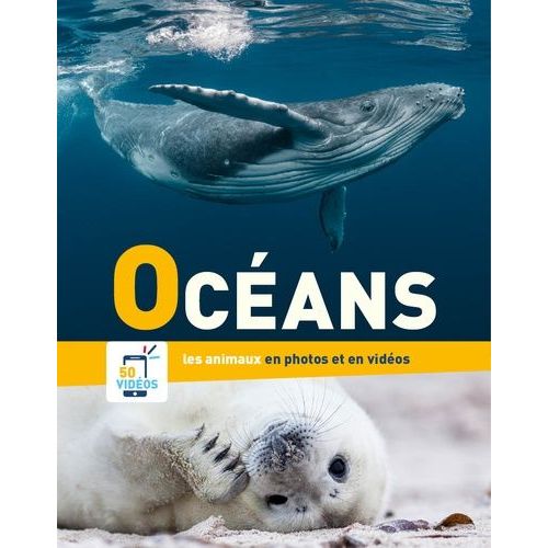 Océans - Les Animaux Dans Leur Habitat Naturel En Photos Et En Vidéos
