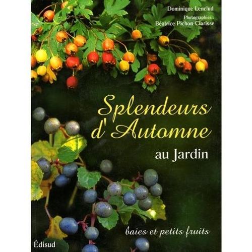 Splendeurs D'automne Au Jardin - Baies Et Petits Fruits