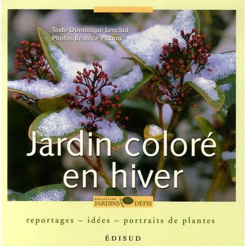 Jardin Coloré En Hiver - Reportages, Idées, Portraits De Plantes