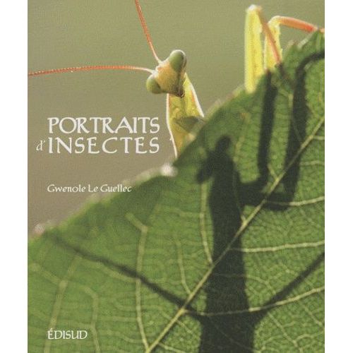 Portraits D'insectes