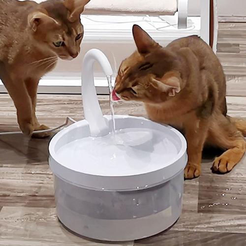 Fontaine À Eau Électrique Automatique Pour Animaux De Compagnie, Bol À Boire Avec Lumière Led, Distributeur À Circulation Pour Chiens Et Chats, 2l