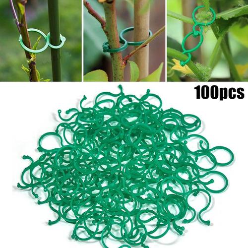 100pcs Jardin Plantes Bague Pinces À Cravate Support pour Carreaux Cravates Fleur Plante Végétale Soutient Jardinage Serre Clips