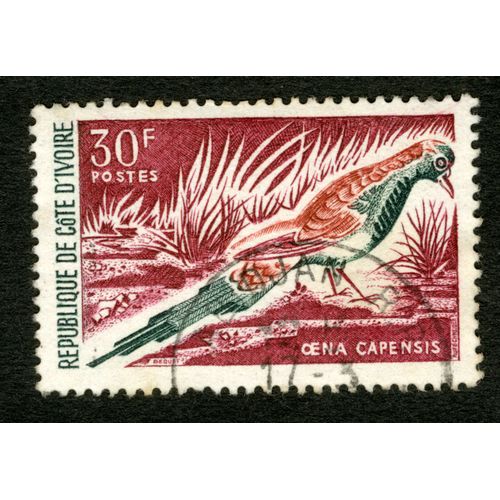 Timbre Oblitéré République De Côte D'ivoire, Oena Capensis, 30f, Postes