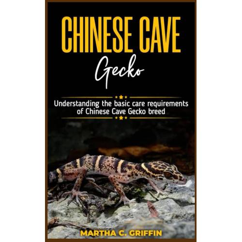 Chinese Cave Gecko: Understanding The Basic Care Requirements Of Chinese Cave Gecko Breed