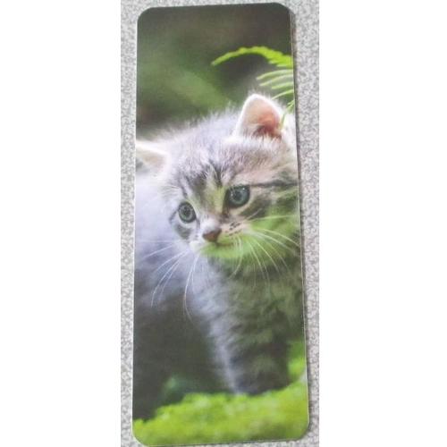 Marque Page Cartonné Avec L'image D'un Adorable Chaton Aux Yeux Clairs Sur Fond Vert Gris - 5x14cm - Verso Fondation Assistance Aux Animaux