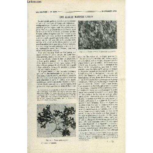 La Nature N° 2625 - Les Algues Utiles Par Coupin, Les Révolutions Du Globe Par Mascart, Lavage Et Carbonisage De La Laine Par Lanorville, Jh Fabre Et Pasteur Par Legros, La Transparence Des Coquilles(...)