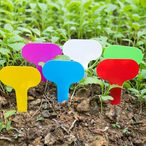 10 étiquettes De Jardin En Acier Inoxydable - Marqueur Inclus - Pour Plantes Et Légumes