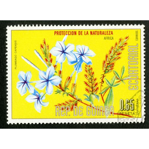 Timbre Oblitéré Rep De Guinea Ecuatorial, Plumbago Capensis, Proteccion De La Naturaleza Africa, Correos, 0.65 Peseta