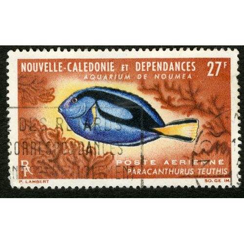 Timbre Oblitéré Nouvelle Calédonie Et Dépendances, Aquarium De Nouméa, Paracanthurus Teuthis, 27 F, Rf