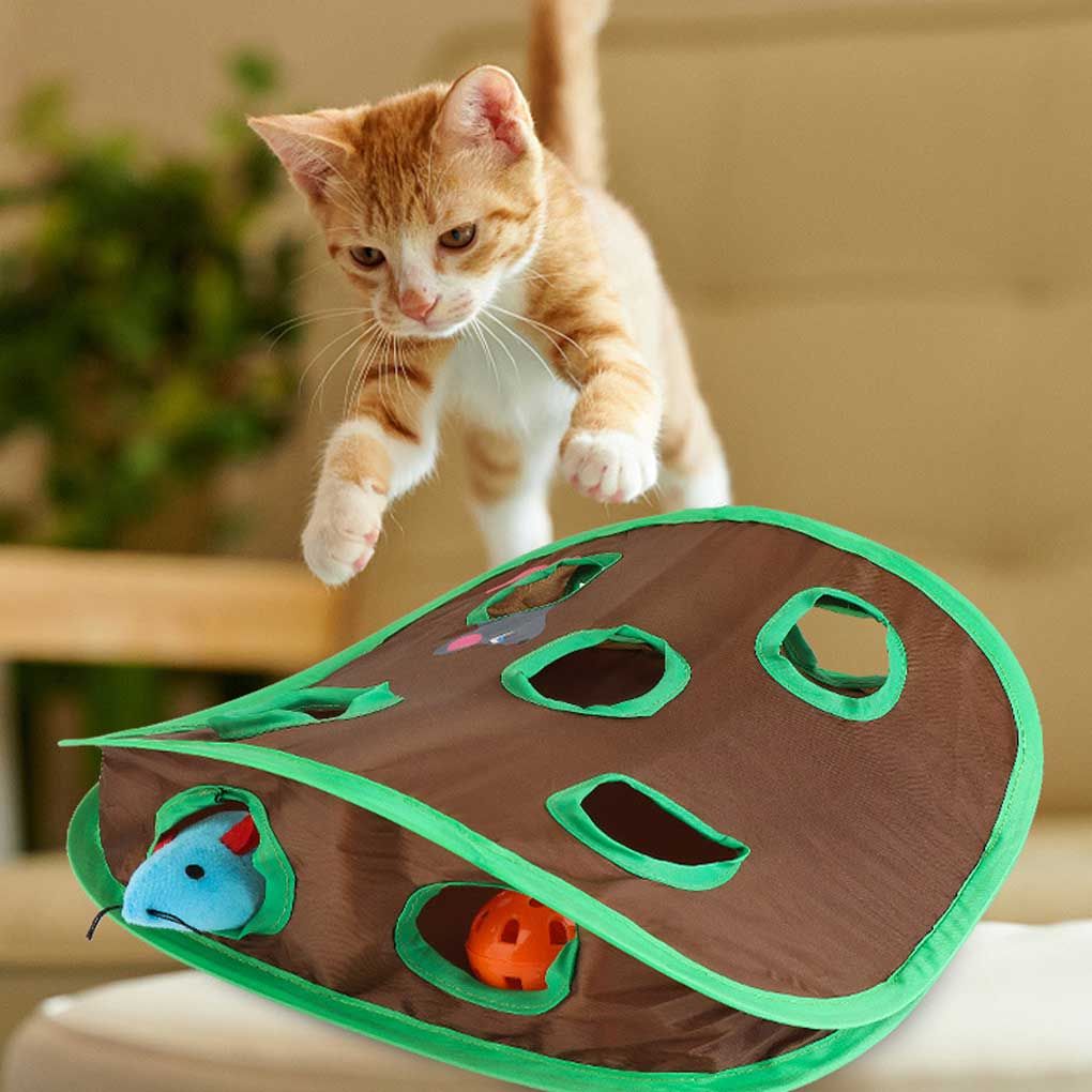 Souris Chat Jeu Intelligence Jouet Souris Chasse - 3