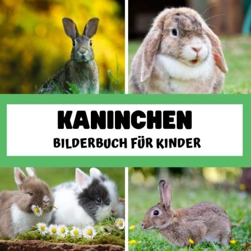 Bilderbuch Für Kinder - Kaninchen: Kaninchen In Bildern - Kinder Von 2 Bis 5 Jahren