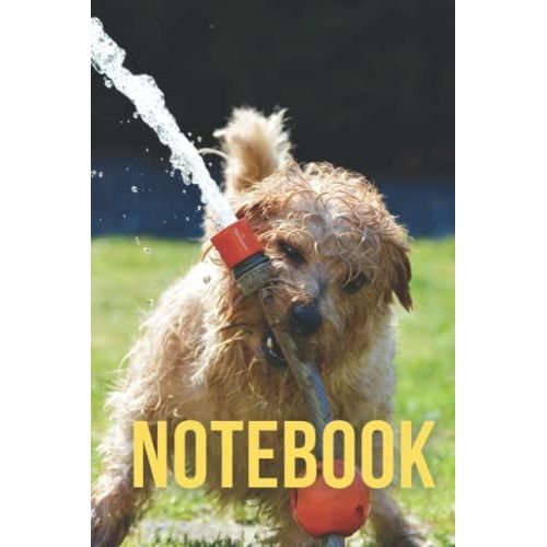 Notebook: Cute Norfolk Terrier Themed Blank Lined Notebook