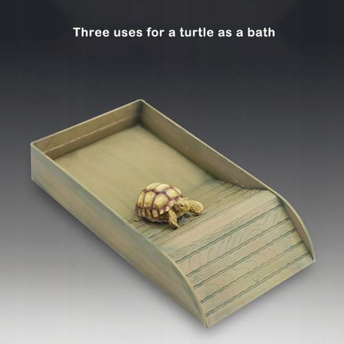 Bassin moyen pour le bain des animaux reptiles