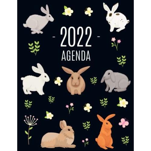 Conejo Agenda 2022: Planificador Mensual Que Inspira Productividad | Con Calendario Mensual 2022