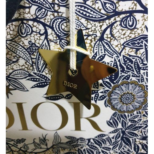 Sac en papier Dior
