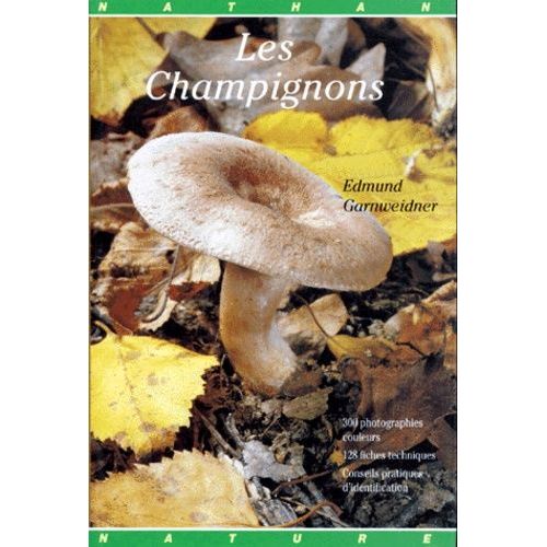 Les Champignons