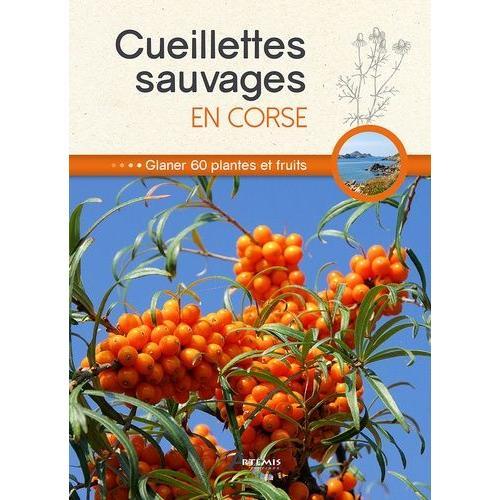 Cueillettes Sauvages En Corse - Glaner Plantes Et Fruits