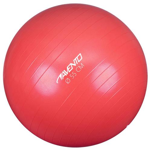 Vidaxl Avento Ballon De Fitness/D'exercice Diamètre 55 Cm Rose