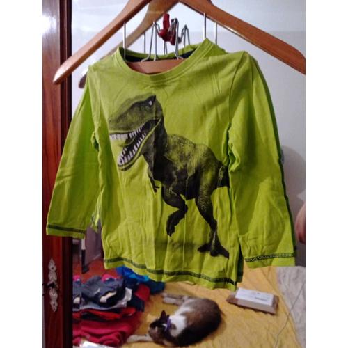 Tee-Shirt Vert Fluo Motif T Rex Noir 4 Ans Palomino.