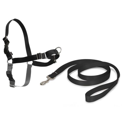 Harnais Easywalk Chien L Noir