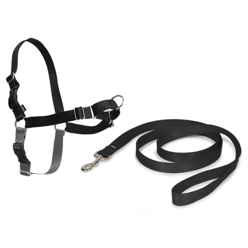 Harnais Easywalk Chien Xl Noir