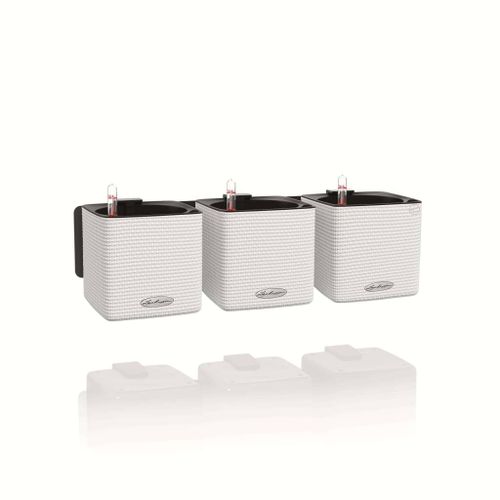 Lechuza 3 Pcs Jardinières Green Wall Home Kit Blanc
