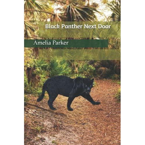 Black Panther Next Door