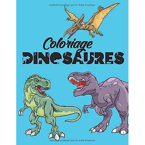 Coloriage Dinosaures: Livre De Coloriage Dinosaures Avec 35 Dessins Réalistes De Dinosaures Pour Enfants ; Peinture Magique Dinosaure ; Coloriage ... (Livre De Coloriage Dinosaure Pour Enfant)